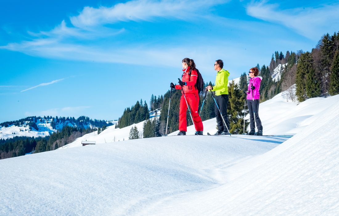 Ski de randonnée nordique le Grand Bornand